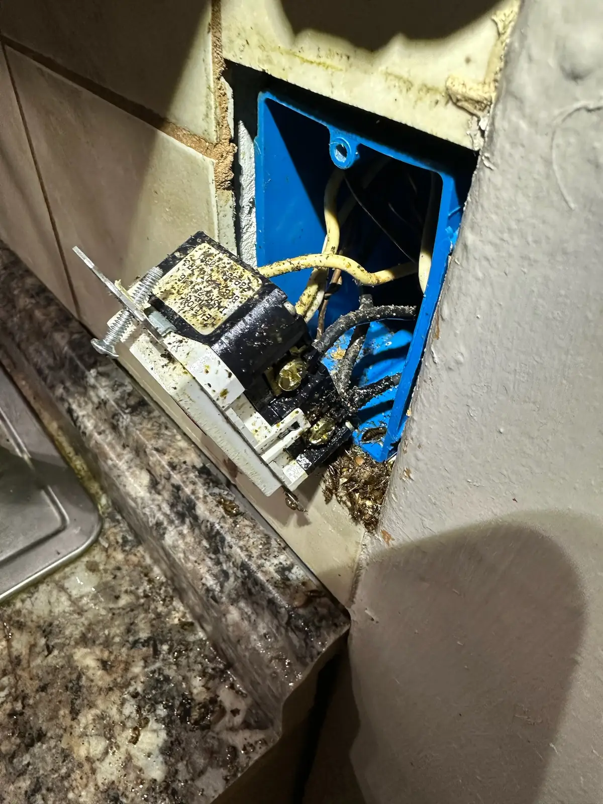 Johnny Pro Handyman Project 46 - Utah Home Improvement