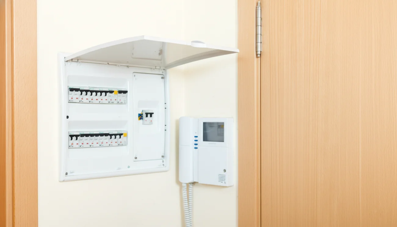 Professional Electrical Services