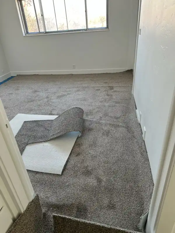 Johnny Pro Handyman Project 53 - Utah Home Improvement