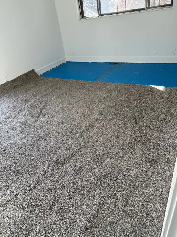 Johnny Pro Handyman Project 54 - Utah Home Improvement